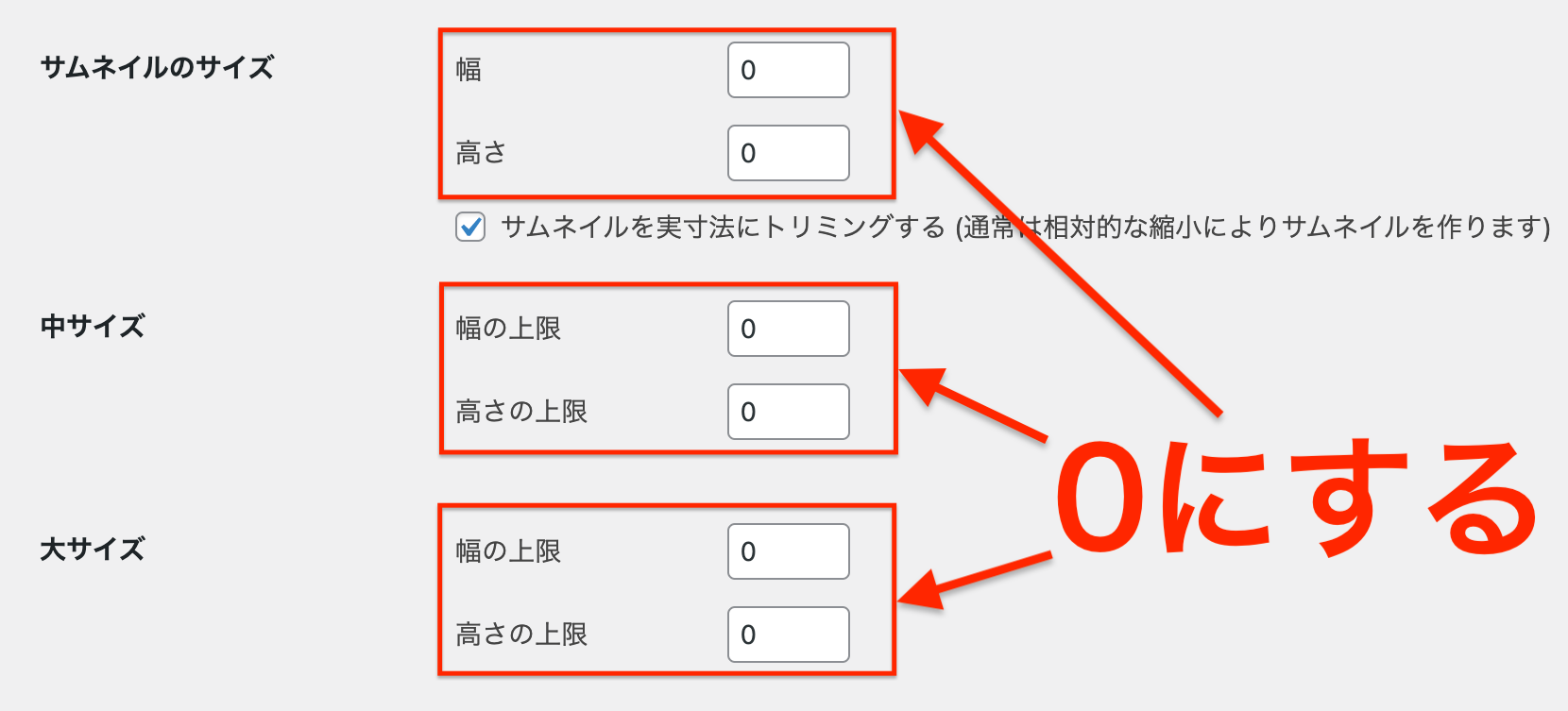 画像の自動生成を止める