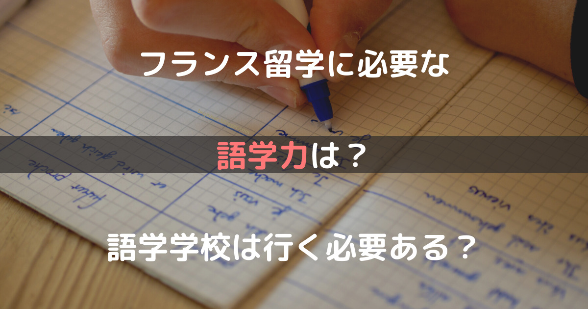 フランス留学に必要な語学力は？語学学校は行く必要ある？