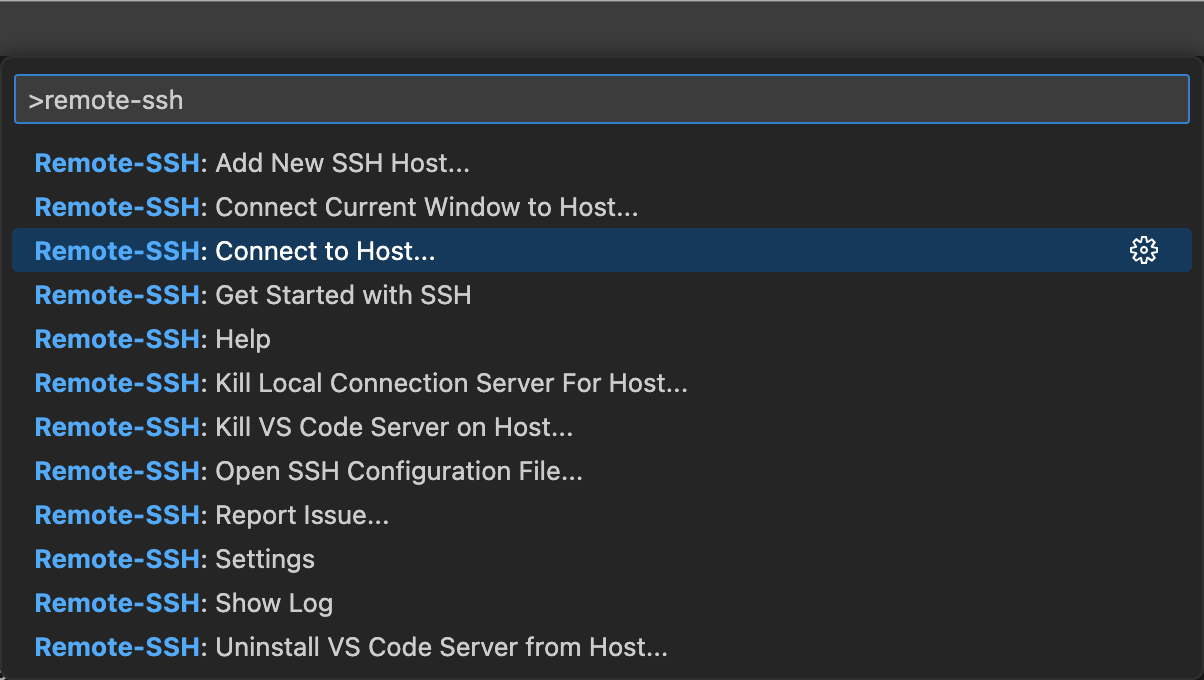Remote SSH: Connect to Host...